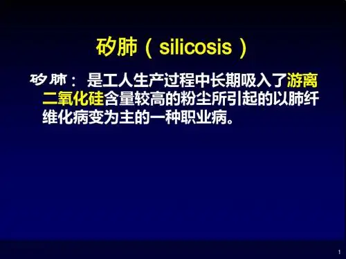 矽肺