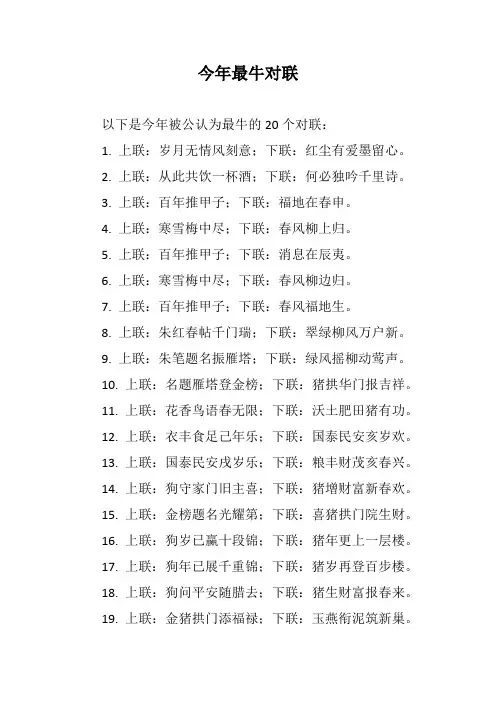 今年最牛对联