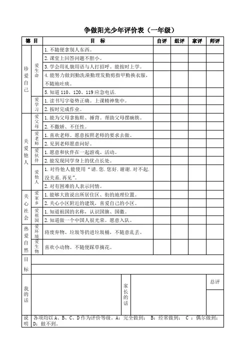 阳光少年测评学生用表