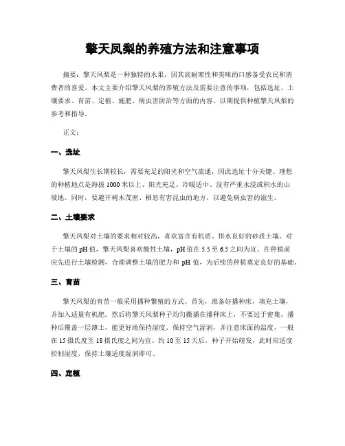 擎天凤梨的养殖方法和注意事项