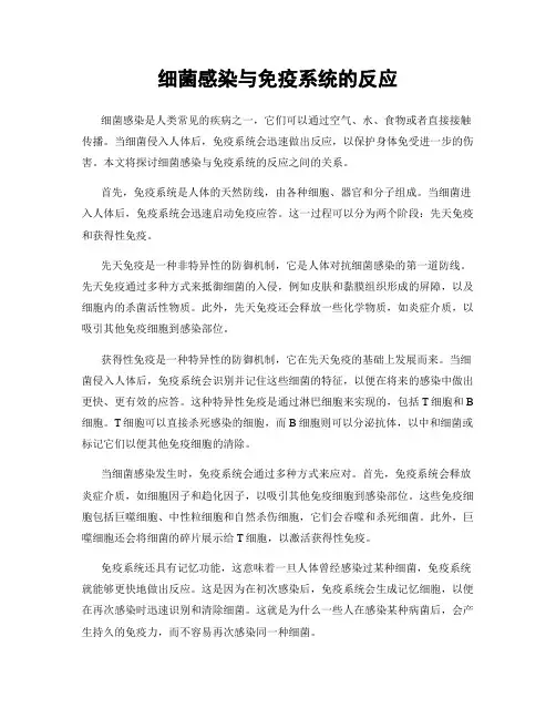 细菌感染与免疫系统的反应
