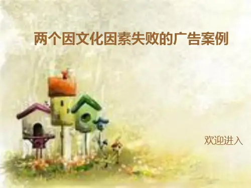 两个文化因素失败的广告案例