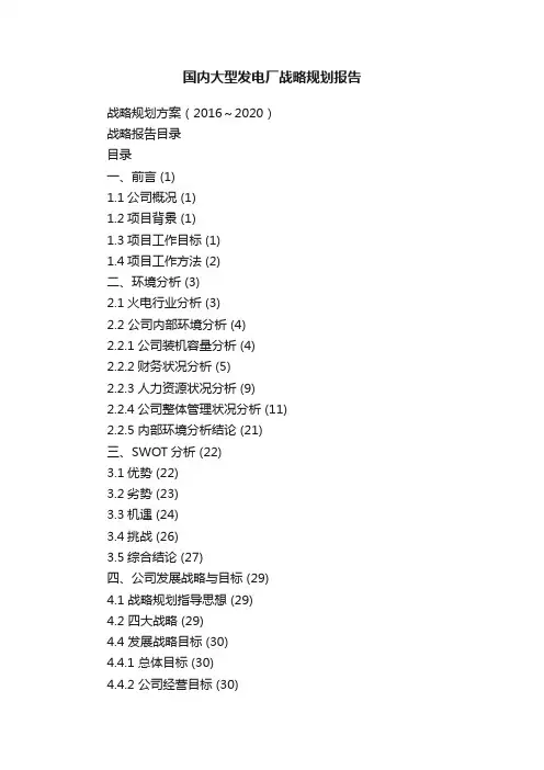 国内大型发电厂战略规划报告