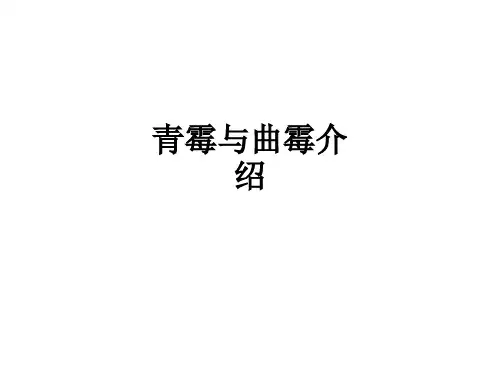 青霉与曲霉介绍ppt课件