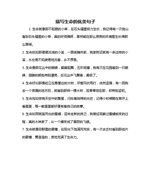 描写生命的优美句子
