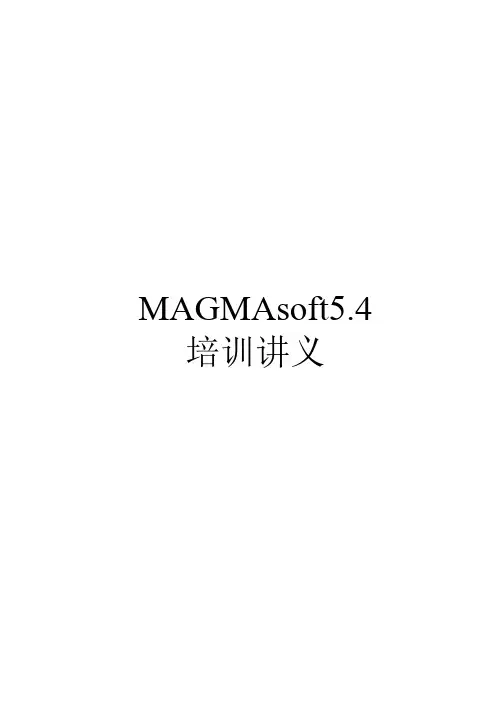 MAGMASOFT5.4培训讲义