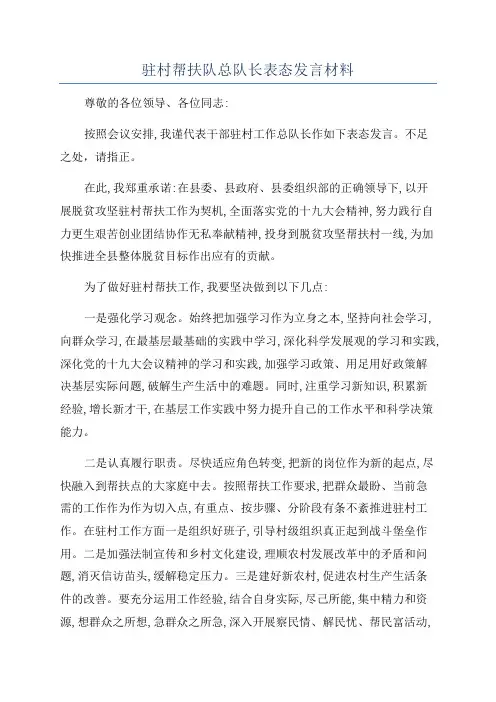 驻村帮扶队总队长表态发言材料