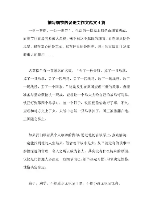 描写细节的议论文作文范文4篇