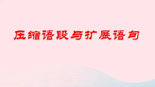 新高考专用2023年高考语文二轮复习07压缩语段与扩展语句课件