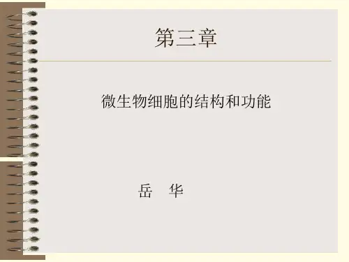 微生物细胞的结构与功能