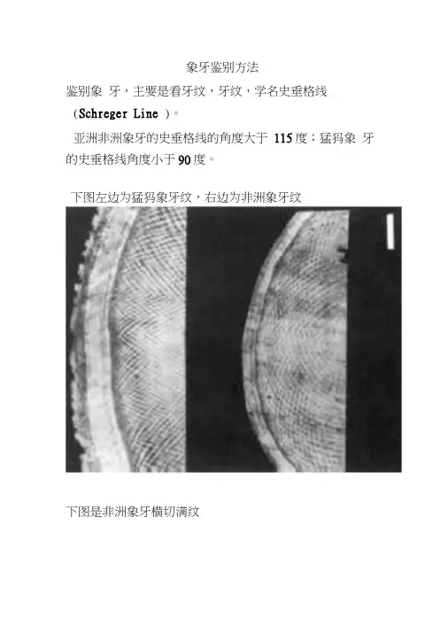 象牙鉴别方法