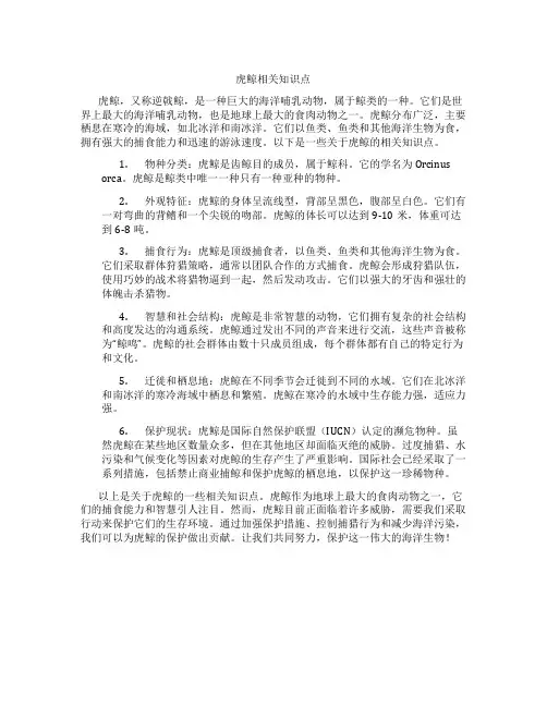 虎鲸相关知识点