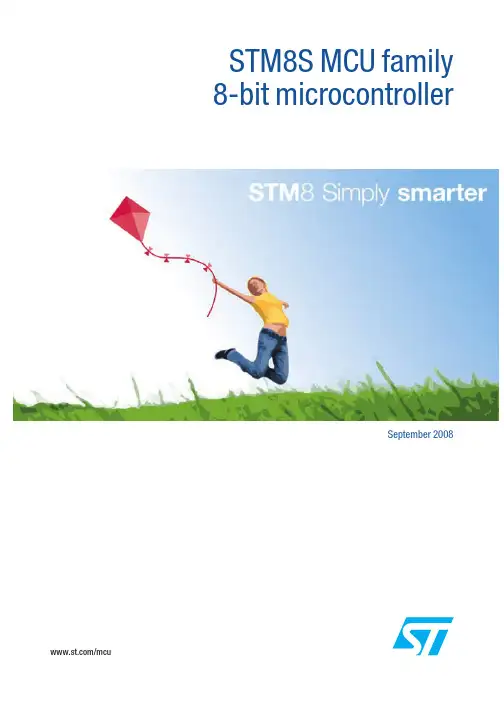 stm8s选型手册