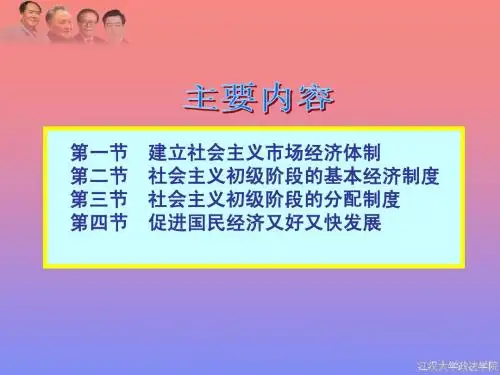 毛概-第8章