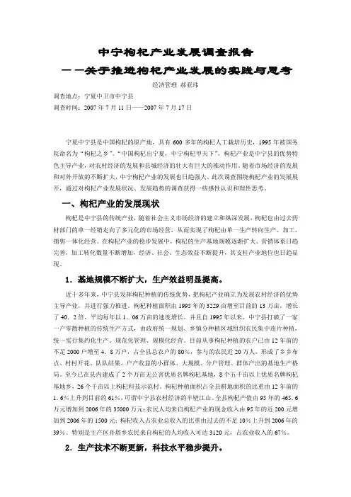 中宁枸杞产业发展调查报告