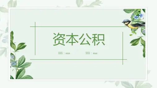 资本公积_模板参考