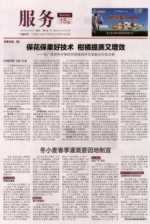 保花保果好技术 柑橘提质又增效——访广西特色作物研究院植保研究室副主任张戈壁