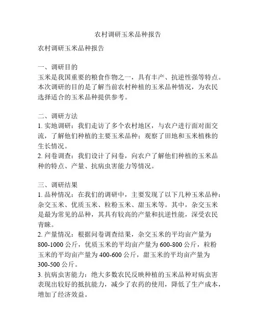 农村调研玉米品种报告
