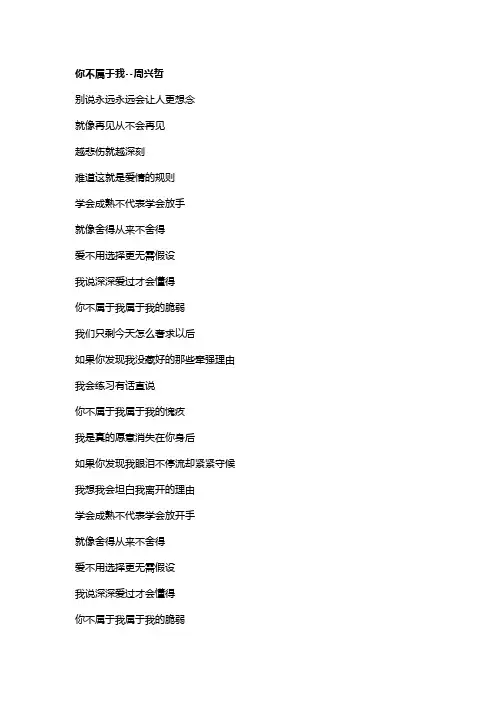 歌曲《你不属于我》歌词