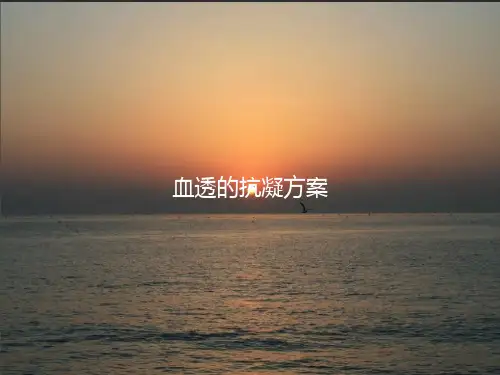 血透的抗凝方案PPT课件