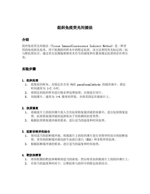 组织免疫荧光间接法