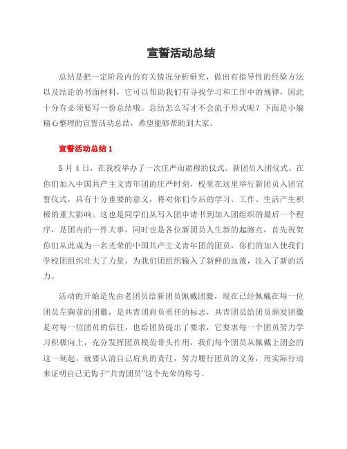 宣誓活动总结