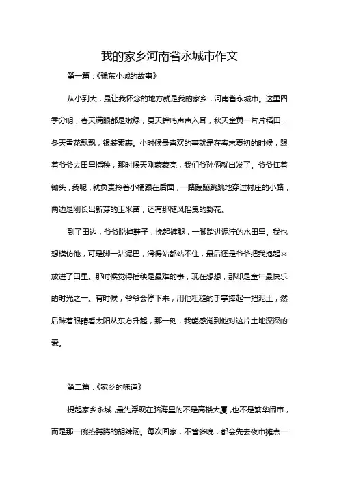 我的家乡河南省永城市作文