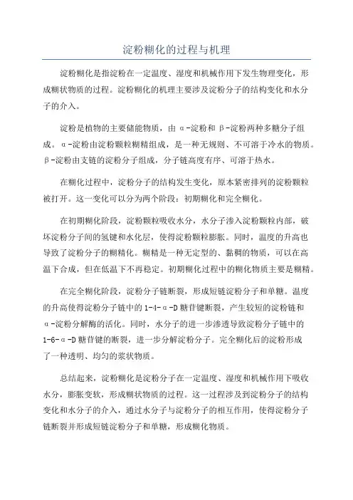 淀粉糊化的过程与机理