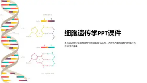 《细胞遗传学》课件