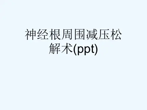 神经根周围减压松解术(ppt)