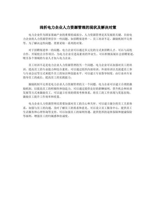 浅析电力企业人力资源管理的现状及解决对策