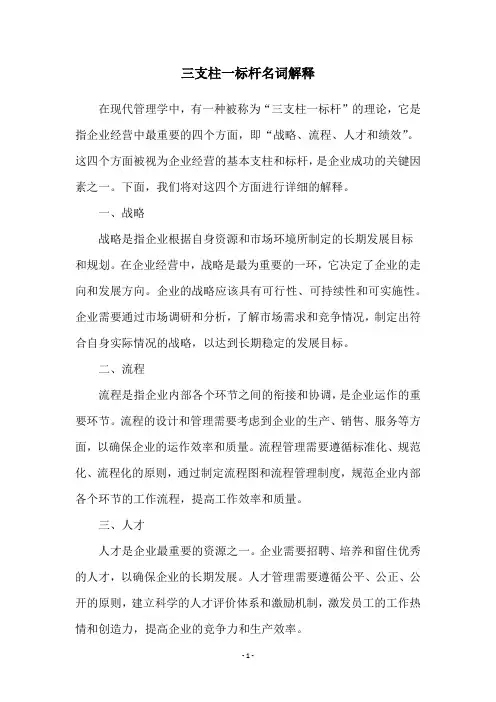 三支柱一标杆名词解释