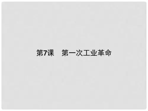 高中历史 第二单元 资本主义世界市场的形成和发展 第7