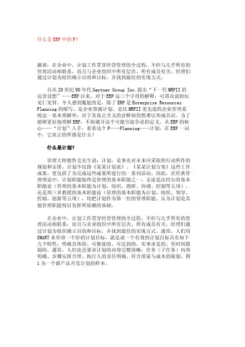 什么是ERP中的P？