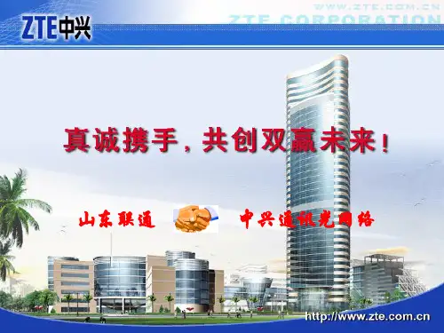 ZTE中兴SDH传输产品日常维护与故障分析