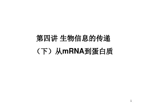 现代分子生物学第四章演示教学