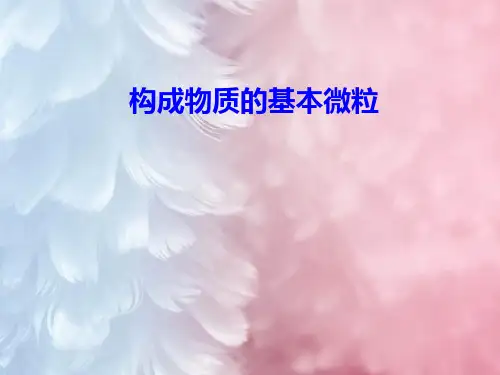 构成物质的基本微粒PPT教学课件