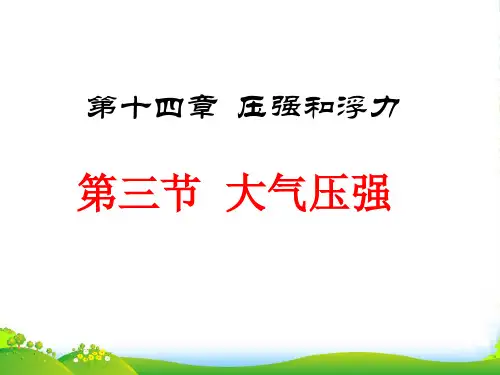 广东省中山市九年级物理上册 第十四章 压强和浮力《大气压》大气压强课件 新人教版