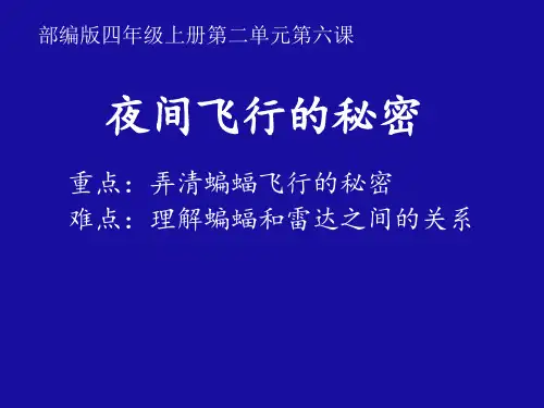 四年级语文上册夜间飞行的秘密ppt课件-部编版