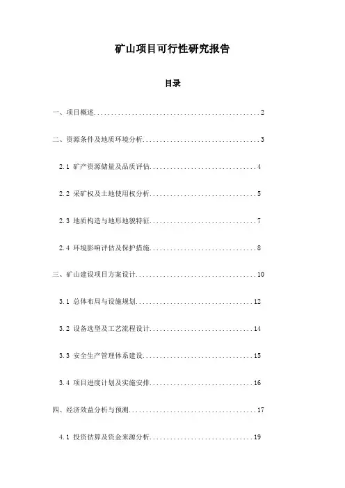 矿山项目可行性研究报告