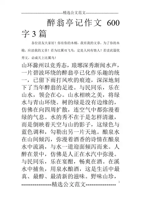 醉翁亭记作文600字3篇