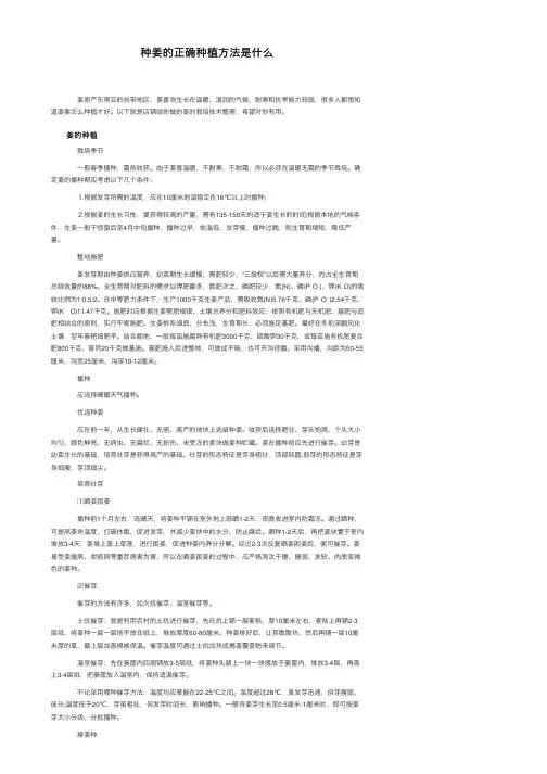 种姜的正确种植方法是什么