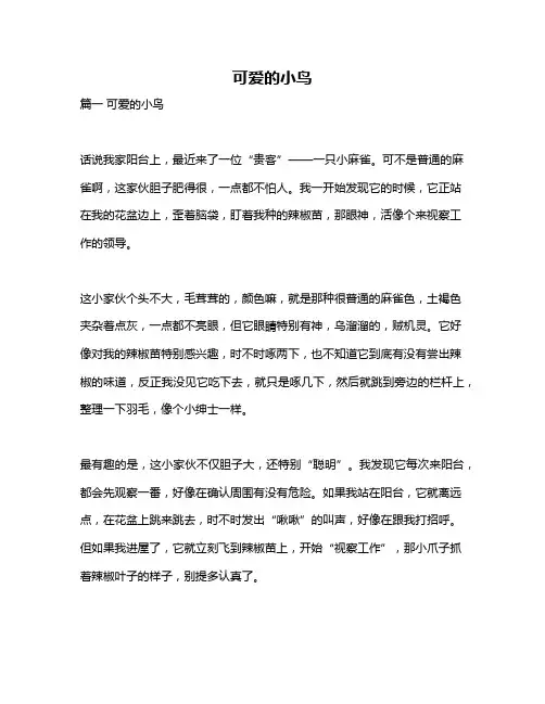 作文《可爱的小鸟》
