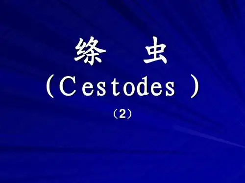细粒棘球绦虫