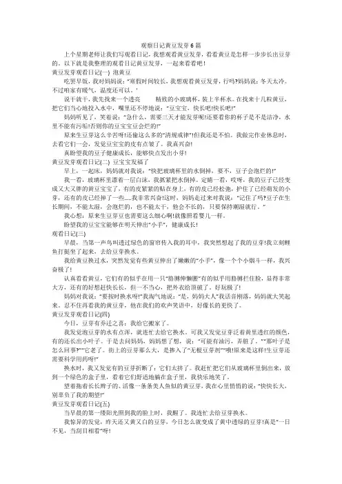 观察日记黄豆发芽6篇