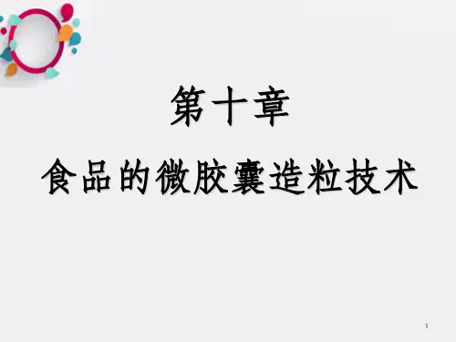 食品的微胶囊造粒技术_OK