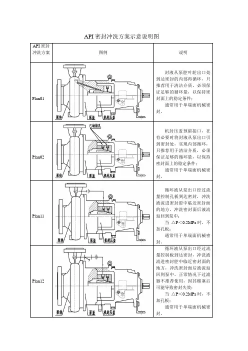 API密封冲洗方案(说明附图)