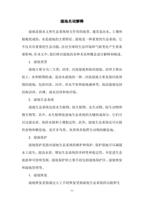 湿地名词解释