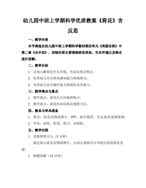 幼儿园中班上学期科学优质教案《荷花》含反思