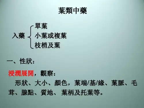 (中药鉴定学)叶类中药